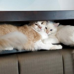 Never firm on prices, always flexible just connect